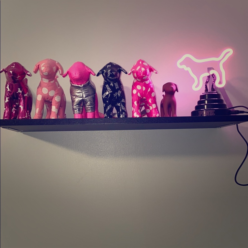 PINK Dogs 💖